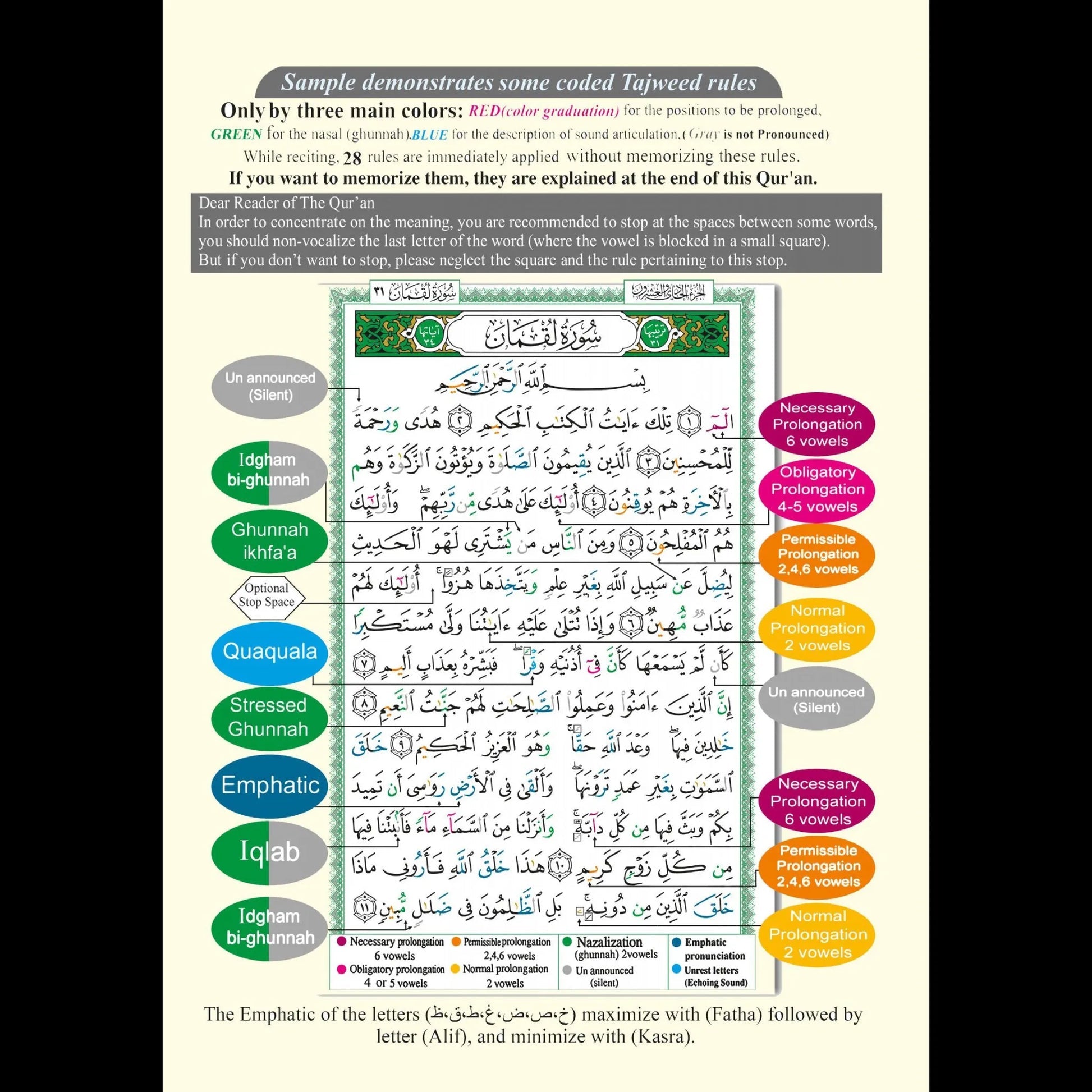 Quran Roman Transliteration + Translation eBook (+FREE Learning guides)