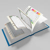 Quran Roman Transliteration + Translation eBook (+FREE Learning guides)